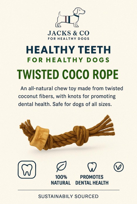 Dog Accessories
